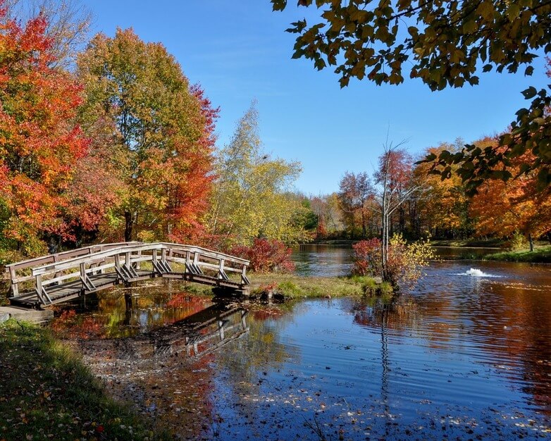 De Hoyos Memorial Park